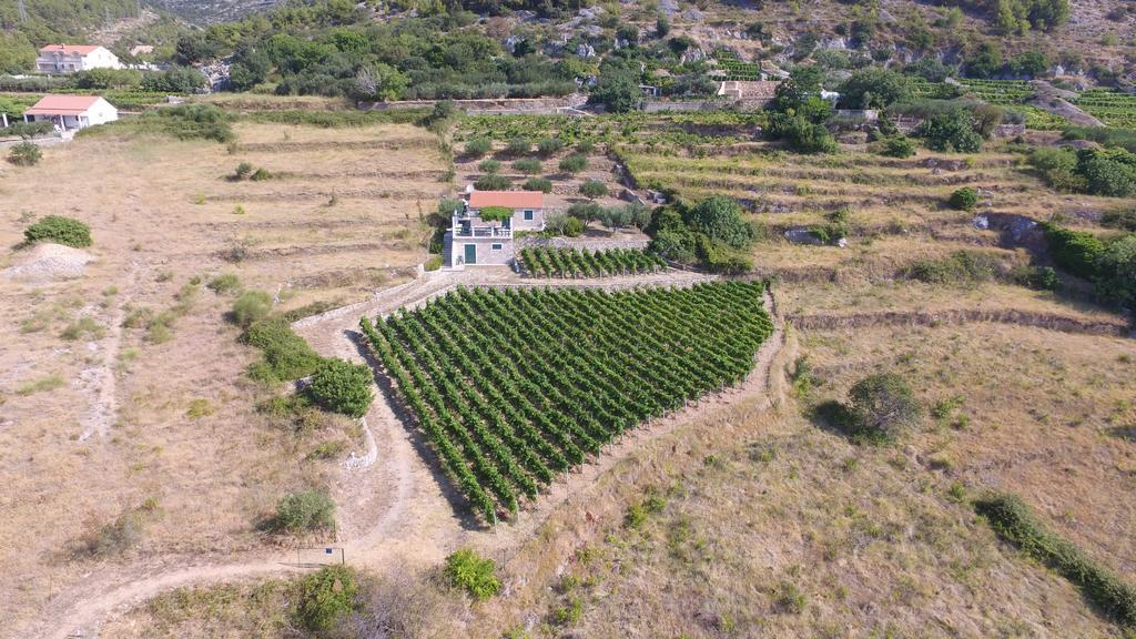 Holiday Home Vineyard House 볼 외부 사진