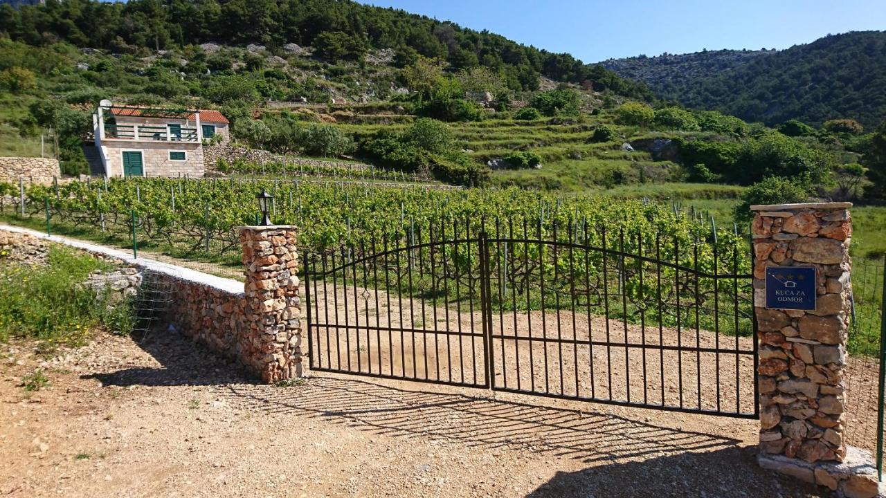 Holiday Home Vineyard House 볼 외부 사진